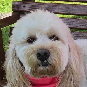 Meet your Posher, Cindy